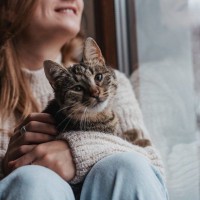 猫も『冷え性』になる？起こり得る4つのトラブルと温活のアイデア