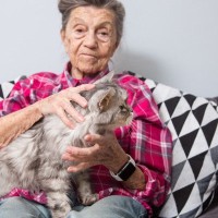 老人ホームへ去った飼い主を慕い、行方を探し当てて再会を果たした猫　英国