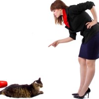 猫には厳禁な『ダメしつけ』3つとその理由　問題解決どころか、絆が壊れることに…？