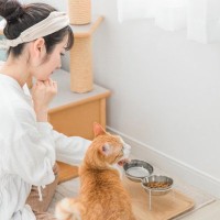 猫の死亡リスクが高い『肝リピドーシス』とは？症状や兆候、予防法を解説