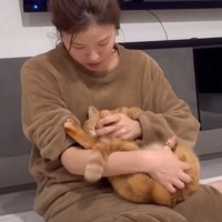 ママともっと遊びたい超甘えん坊な猫が『突然の爪切り』で……爆笑のリアクションが7万再生「体勢よｗｗ」「かわいすぎる」と反響続々