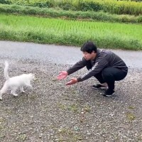 『キャンプ場で出会った猫』が懐いたと思ったら…コントすぎる『まさかのやり取り』が276万再生「好かれてるねｗ」「お笑いわかってるｗ」