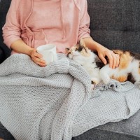 愛猫はちゃんと『飼い主を認識』できている？猫があなたと他人を区別する3つの方法