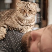 起きてー！猫が『飼い主さんをたたき起こす』ときのワザ5選　なかには痛いものも…回避するには？