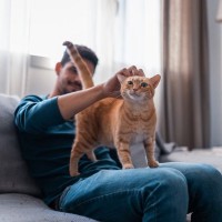 2月22日の『猫の日』を、本気で猫のために使う3つのアイデア　猫ファーストな1日にしよう！