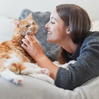 猫に嫌われること必至の『ダメな話し方』4選　気をつけないと“敵認定”されちゃうかも