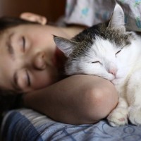 お願いだから寝て…愛猫を『上手に寝かしつける5つの方法』夜寝てくれないときの理由も