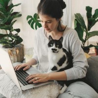愛猫に『べったりと依存されやすい人』とは？4つの特徴　依存にまつわるトラブルも紹介