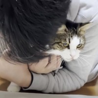甘えてきた猫にお父さんが『ギュー』っと抱きついた結果…可愛すぎる光景に笑顔になる人続出「絶対に抗議しててかわいい」「愛が溢れてる」