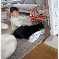 珍しく雪が降った日に赤ちゃんと猫が…寒すぎて『ヒーターを取り合う光景』が可愛すぎると悶絶する人続出「大人気スポットｗ」「癒された」