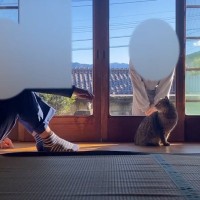 庭に住みついた野良猫を『家族に迎えた』結果、現在の様子が……２年間の軌跡に感動の声続出「めっちゃ泣いた」「とても温かい気持ちになった」