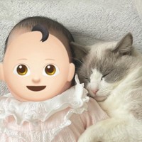 お昼寝している赤ちゃんの腕を見てみたら、猫が…まさかの『とんでもなく尊い光景』に12万人がキュン「尊さ2倍」「永久保存したい」の声