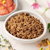 猫の『免疫力が上がる』と言われる食材3選　与える際に注意すべき点も解説