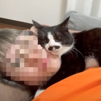 甘えん坊な猫→寝る時間になると……とんでもなく『距離感バグってる光景』が微笑ましすぎると21万再生「もう赤ちゃんみたい」「平和な時間」