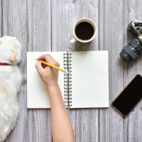 いざというときのために！猫が元気なうちに知っておくべき『健康データ』6選