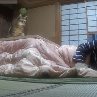 珍しく風邪を引いたパパがダウンしていたら、猫が……『優しい行動』に感動する人続出「優しいね」「ほっこりした」と4万6000再生