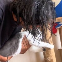 猫が病院に連れていかれるのを察知した結果…まさかの『抵抗の様子』が可愛すぎると19万再生「強い意思を感じる」「うちの3歳児と一緒ｗ」
