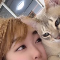 飼い主が愛猫に『猫アレルギー』を告白した結果…完璧に理解してそうな『衝撃の反応』が107万再生「ワシ猫やないかい!?ってｗ」「驚愕ｗ」