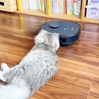 猫のいる部屋で『ロボット掃除機』を起動したら…予想外の『仲良しすぎる光景』に「友達になったみたい！」「掃除機も健気に仕事を…ｗ」の声