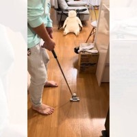 『パパがゴルフの練習をしていたら、猫が…』思わず笑ってしまう妨害の様子が221万再生「目の前に来た瞬間ｗ」「タイミングが絶妙」の声