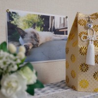 愛猫を亡くしたときに…悲しみを癒やす『セルフケア』の方法3選　悲しむことは悪いことじゃない