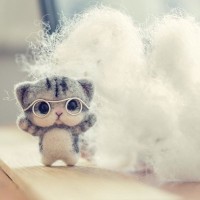 愛猫の『形見』をいつまでも大切に保存する方法5選　ヒゲに爪…どうするのがベスト？