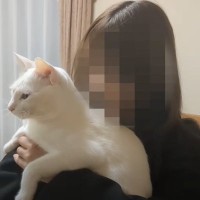 猫は大好きだったお姉ちゃんを覚えてる？→3ヶ月ぶりに帰ってきた結果が…尊い再会の光景に「泣けてきた」「愛が深すぎる」と28万再生の反響