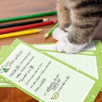 猫との暮らしに必要な『公的な手続き』ってある？知っておきたい3つの制度