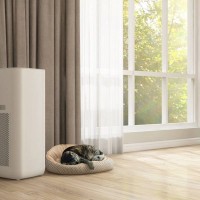 猫に最適な『空気清浄機』ってどんなの？選ぶなら見るべき6つのポイント