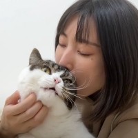 猫への愛が限界突破してしまったママ→思わず耳を食べてしまった結果…『可愛すぎる反応』が28万再生「たまらん」「食べられたｗ」
