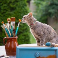 「ポップアートの創始者」ウォーホルが愛した25匹の猫たち　名前はほぼすべて「サム」米国