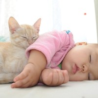 猫がいる家に『赤ちゃん』が誕生！気をつけるべき4つのこと　猫は子どもが苦手？平気？
