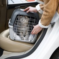 猫と『車で移動』するときにやるべきこと・NGなこと　愛猫と安全にドライブするポイント