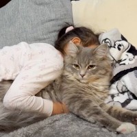 娘にギュッとハグされたまま寝られてしまった猫→次の瞬間…『まさかの光景』に笑顔になる人続出「はぁ〜幸せｗ」「癒された」の声