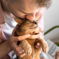 猫嫌いな人を『猫好きに変身させる』プロジェクトが進行中！オーストラリア