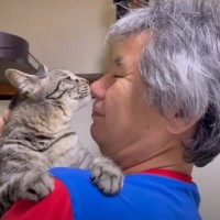 22匹の保護猫と暮らす父ちゃん→病院に行ったら…『発覚した衝撃の事実』と凄すぎる光景が10万再生「愛の力は強い」「恐るべしｗ」