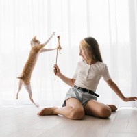 愛猫があなたと『遊びたい！』と思っているときの行動3選　即応えるべき？
