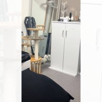 猫の飼い主が『圧』を感じて振り返ってみたら…あまりにも想定外すぎる『まさかの姿』が68万再生「鏡越しにｗｗ」「可愛すぎて泣ける」