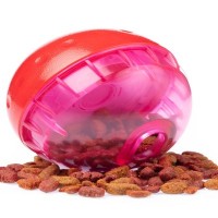 『食べ物をねだる猫』に我慢してもらうためのアイデア5選　効果的な理由やメリットまで