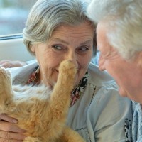 深すぎる猫愛が生んだユニークな「飼い猫博物館」創設者は晩年を猫に捧げた夫妻　米国