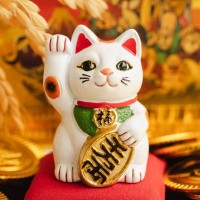 インドやオーストラリアで「猫インテリア」の日本料理店が登場　猫好きな人々の話題に