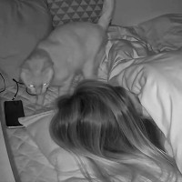 寝ている飼い主さんの元へやって来た猫→距離感が掴めなくて…『まさかの瞬間』が390万表示「本当に猫は読めないｗ」「クリティカルヒットｗ」