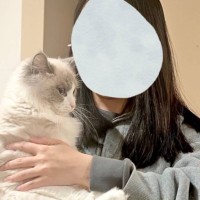 『←0歳のラグドール　0歳の北欧猫→』比較してみた結果…まさかの『サイズ感』が衝撃的すぎると279万表示「中型犬くらいある」「爆笑」