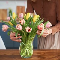 季節の花『チューリップ』は猫には危険！飾らないほうがいい理由や起こり得るトラブル