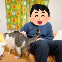 大好きなママが不在の1日…猫たちがパパと『お留守番』した結果→まさかの結末に爆笑の声続出「わかってるw」「最後の最後でやられた」