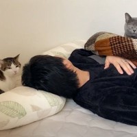 パパが爆睡していたら、3匹の猫たちが…あまりにも平和な『幸せ溢れる光景』に癒される人続出「集猫力凄い」「なんだかほっこり幸せ気分」