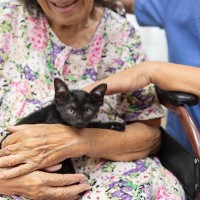 猫がしている『人助け』5選　病院、高齢者施設、学校…心の支えになってくれている猫たち