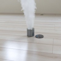 猫がいる家で『害虫駆除』をするときの注意点4つ　燻煙剤やスプレー、使っても大丈夫？