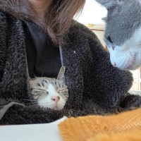 飼い主さんの服の中で気持ちよく寝ていた猫→次の瞬間……微笑ましすぎる『まさかの光景』が13万いいね「かわいすぎる」「寝た子を…」