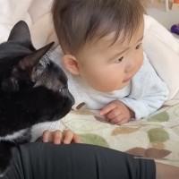 パパが布団で赤ちゃんに読み聞かせ→猫も入って来て…『癒やされすぎる光景の連発』が話題「楽しそうでほっこり」「優しいお兄ちゃんだね」